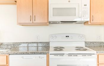 Dominium-Ashlynn Ridge-Energy Star Kitchen Appliances